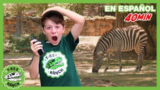 Visita al zoologico 🦓 Videos de dinosaurios y juguetes para niños