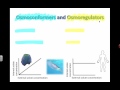 Osmoregulation and Homeostasis Concepts