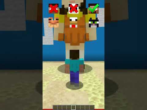 QUEM PASSAR GANHA #shorts #humor #minecraft