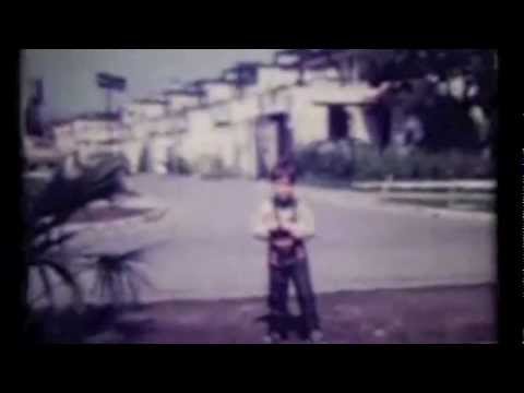 youth-pictures-of-florence-henderson-all-i-remember-is-punk-rock-morten-andre-samdal