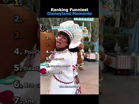 Ranking Funniest Disneyland Moments