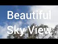 Ozone Depletion and UV Radiation Effects