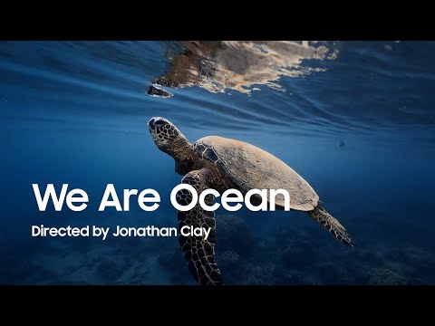 Filmed #withGalaxy S25 Ultra | 'We Are Ocean' by Jonathan Clay | Samsung