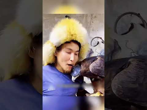 Золотой орёл защитил ОГРОМНУЮ отару 🤔🔥🤯