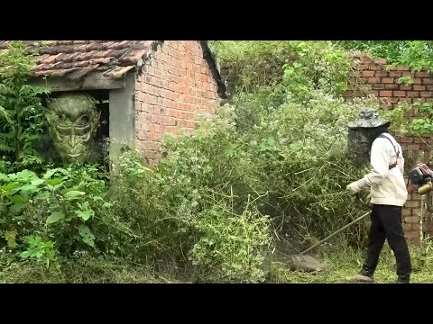 Cleaning Up Abandoned Houses: Hidden Weed Dangers You Didn't Expect | Clean Up