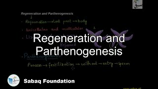 Regeneration and Parthenogenesis