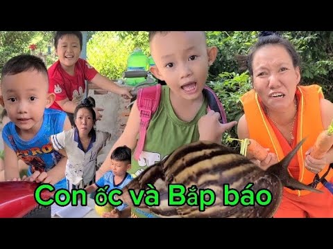 Con ốc và Bắp báo