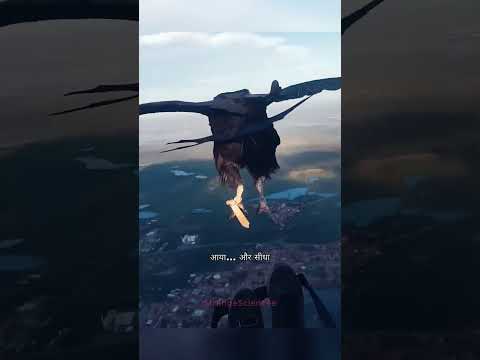 The Vulture Who Chose Friendship Over Freedom