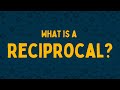Understanding Reciprocals
