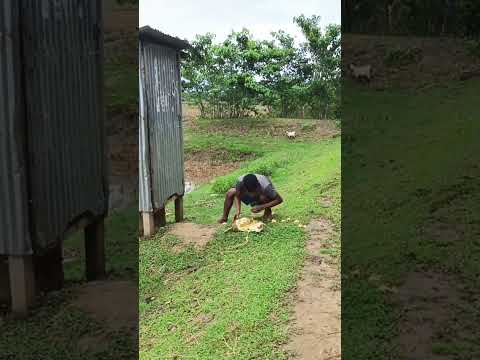 #funny #viralvideo #comedy #shortvideo