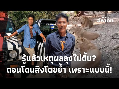 รู้แล้ว! เหตุผลที่ "ลุงเจียน" ไม่ดิ้น-ขยับตัว ตอนโดนสิงโตจู่โจม!?Update-41