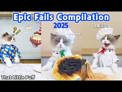 Epic Fails Compilation 2025🤣| That Little Puff