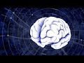 Exploring Brain-Inspired Machine Intelligence