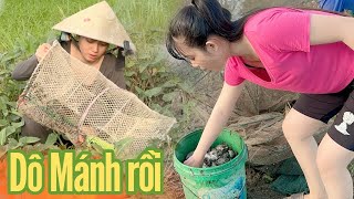 Cô Gái Quê ✅ Lần đầu tiên đặt lọp mà cá chạy thấy ham