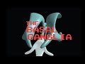 Neuroanatomy of Basal Ganglia Structures