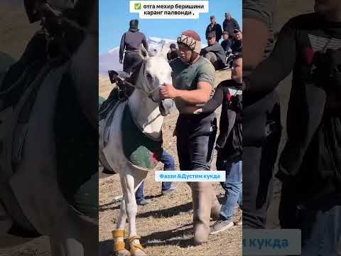 #toshkent #horse #telegram_yulduzlari #rek #shortvideo #kokpar #uloq_kokpari #moshinabozor #shotrs