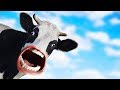 Cow and Dog Interaction Scenarios
