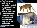 Evolutionary Evidence and Concepts