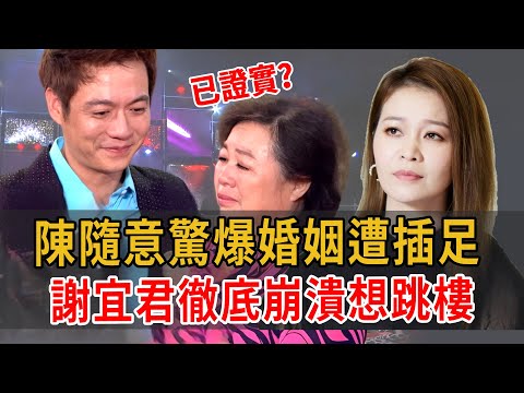 證實了？謝宜君陳隨意已協議離婚！精心策劃24年手段了得，陳隨意只能淨身出戶！ #謝宜君 #大嘴娛記