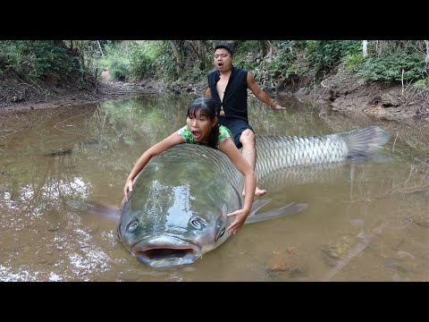 Top 1 Fishing Video - Primitive Life - Living Off Grid - Cooking Deliicous Fish