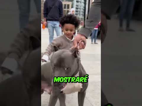 Este niño estaba jugando con el perro y pasó esto 🫣😰