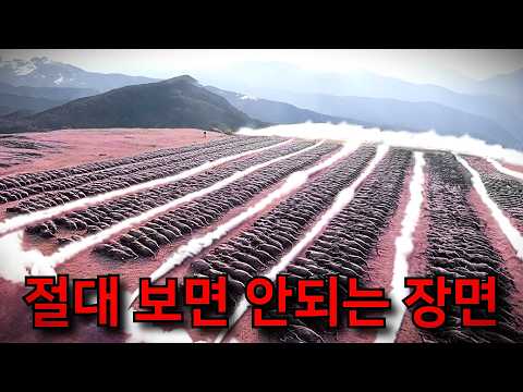보든지 말든지