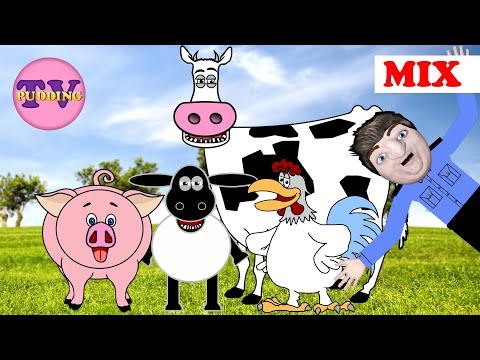 Hva sier kua? - og mye mer | Norske barnesanger