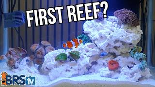 Saltwater Aquariums Made Easy!