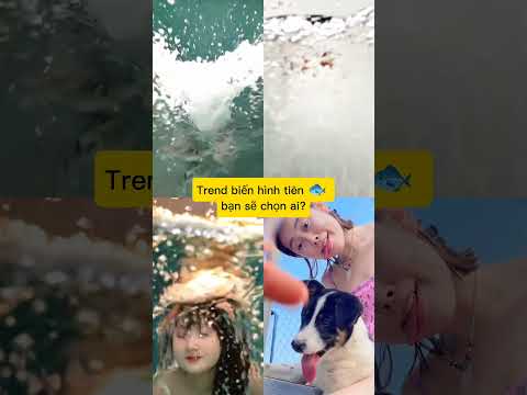 Khi Sammy Đào, Việt Phương Thoa, Viênbibi, Thảo Táo Tàu đu trend biến hình nàng tiên cá 🐟❤️#trending