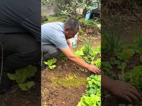These fish can make the soil more suitable for growing vegetables.#facts