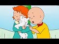Caillou's Lessons and Adventures