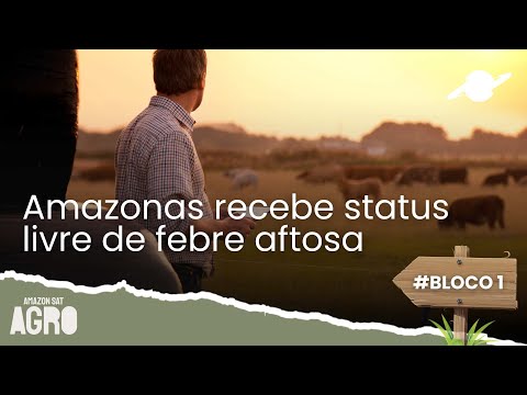 AMAZONSAT AGRO BLOCO 01 020625