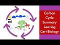 Understanding the Carbon Cycle Concepts