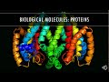 Protein Structure and Function Concepts