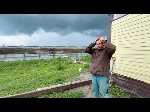 Это шок! Коровы разнесли ферму! Что произошло и что с этим делать? Наводим порядок. Жизнь в деревне.
