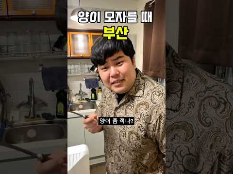 양이 모자를 때[서울vs부산]