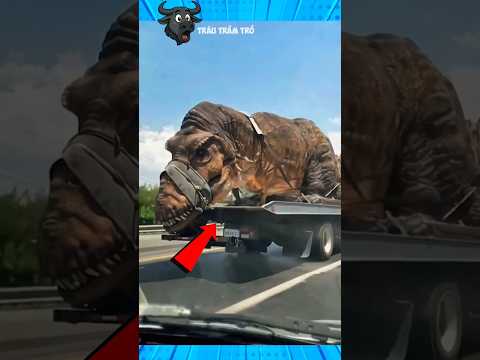 Những Loài Khủng Long Vẫn Còn Tồn Tại #dongvat #facts #khampha