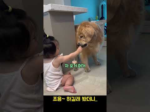 조용 하길래 봤더니..