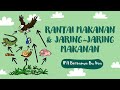 Food Chains and Ecosystem Dynamics