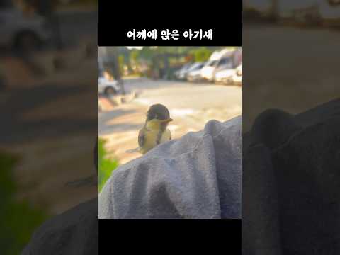 앗 깜짝아 뭐야 이거
