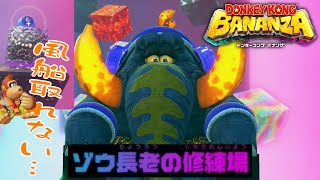 #29【ゾウ長老の修練場に挑戦！】風船の難易度が高すぎて絶望…頭を使うギミックが多いぜ【ドンキーコングバナンザ実況】