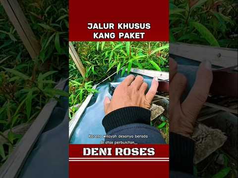 KETIKA KURIR INI PUNYA JALUR KHUSUS UNTUK MENGANTARKAN PAKETNYA #viralvideo