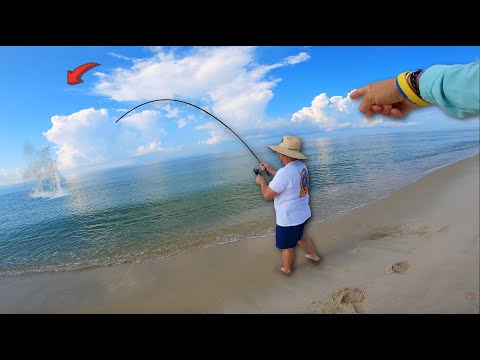 We Saw Something MASSIVE Swimming From the Beach!