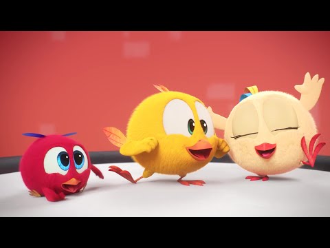 Dancing with Chicky | Where's Chicky? | Cartoon Collection in English for Kids | New episodes