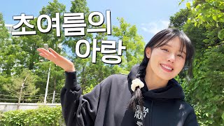 초여름의 아랑모음.zip🍀