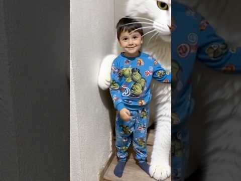 DEV KEDİ GELDİİİİ!!!😱😳🤷🙈 iki