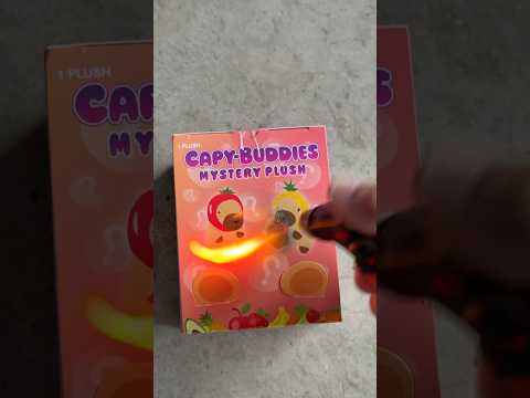 Capybara unboxing #bloxfruits #bloxfruit #fortnite #roblox #robloxshorts #robloxedit #minecraft