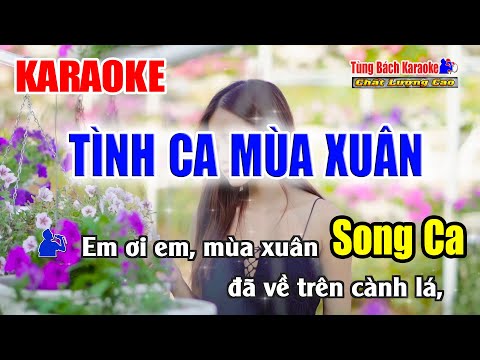 Tình Ca Mùa Xuân || Karaoke Song Ca Beat Cha Cha – Nhạc Sống Tùng Bách