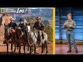 Wild Horse Journey Insights