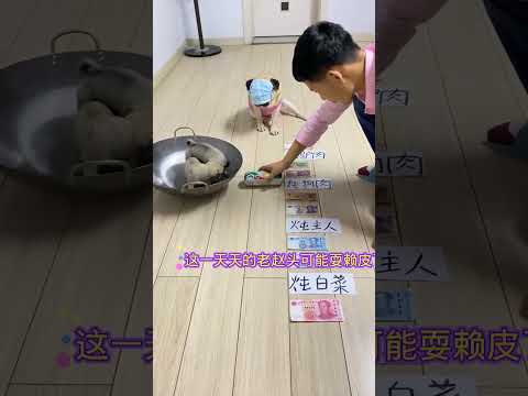 滚中了救狗宝，滚不中的话……#萌宠 #萌宠出道计划 #萌宠成精了 #萌宠日常记录 #萌宠推荐官